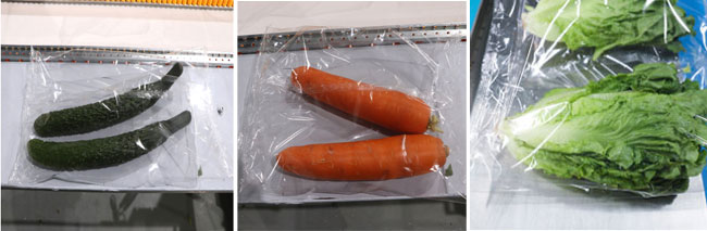 ���r���rĤ���b�C��Ʒ